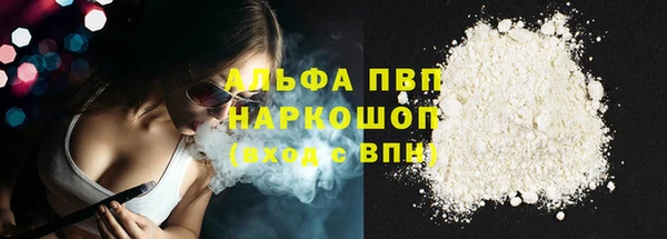 PSILOCYBIN Ельня