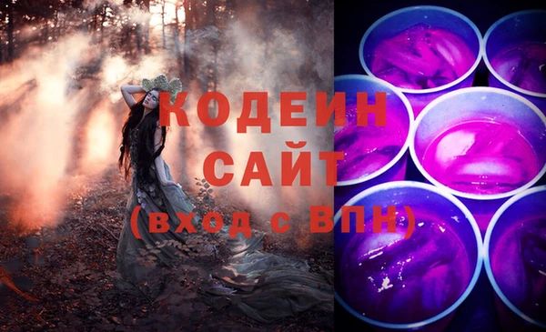 PSILOCYBIN Ельня