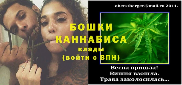 PSILOCYBIN Ельня